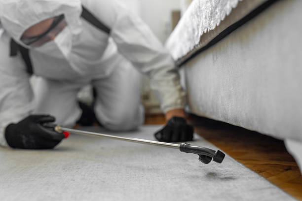 Professional Bed Bug Control technician working in Waimea, HI