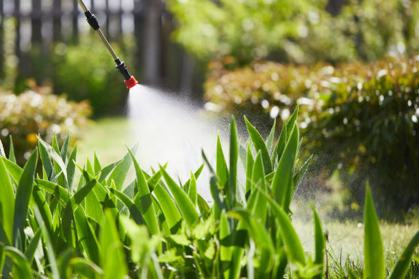 24/7 Emergency Bed Bug Control experts in Waimea, HI