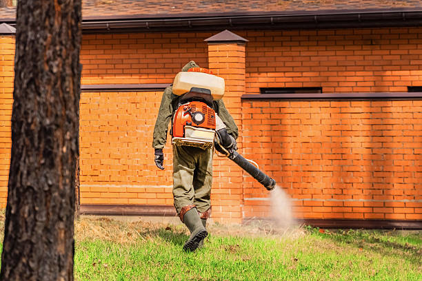 Trusted Emergency Pest Control service in Waimea, HI - Nex Pest Control